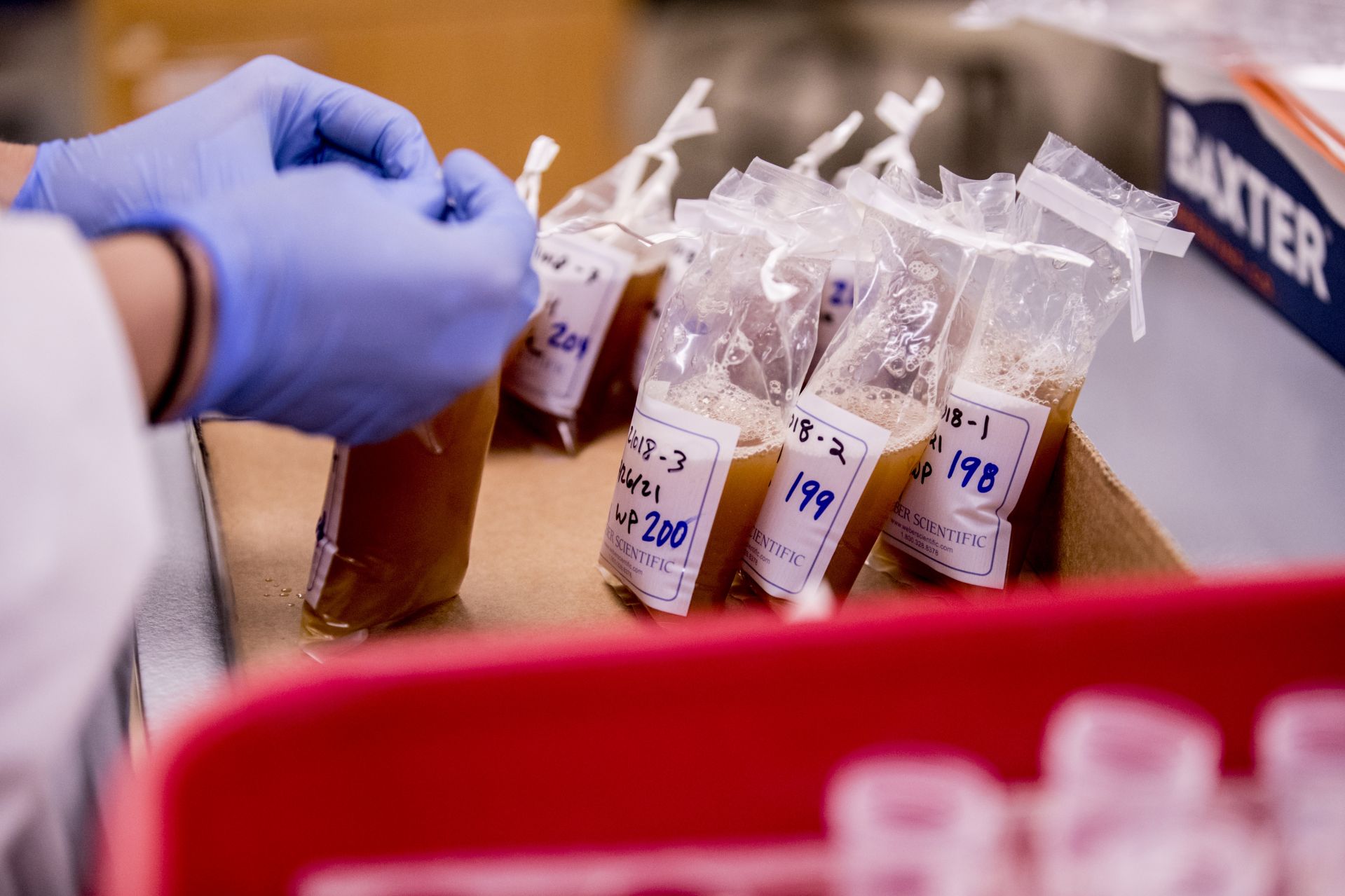 Emily Tamkin '22, a biology major from Lafayette, Calif., is doing a summer '21 purposeful work internship tin brewing science, partnering with the Baxter Brewing Co. in Lewiston, where she's studying the number of battering compounds that exist in beer throughout the brewing process. She is working under the supervision of Merritt Waldron, Baxter's quality control manager, and Assistant Professor of Biology Lori Banks.  Emily picks up samples from Baxter's plant at 130 Mill Street in Lewiston and takes them to Carnegie Science where, in Dr. Bank's lab, she conducts a chemical analysis of them. The compounds hit your taste buds, and your brain understands that they are bitter, she says.