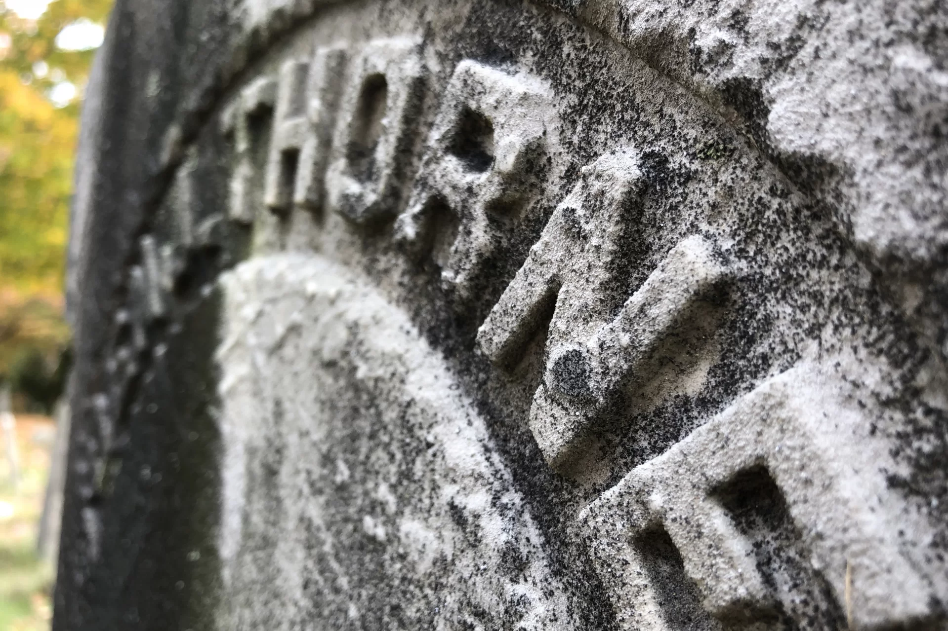What's in a Lewiston Name: Thorne | News - Vimarsana News