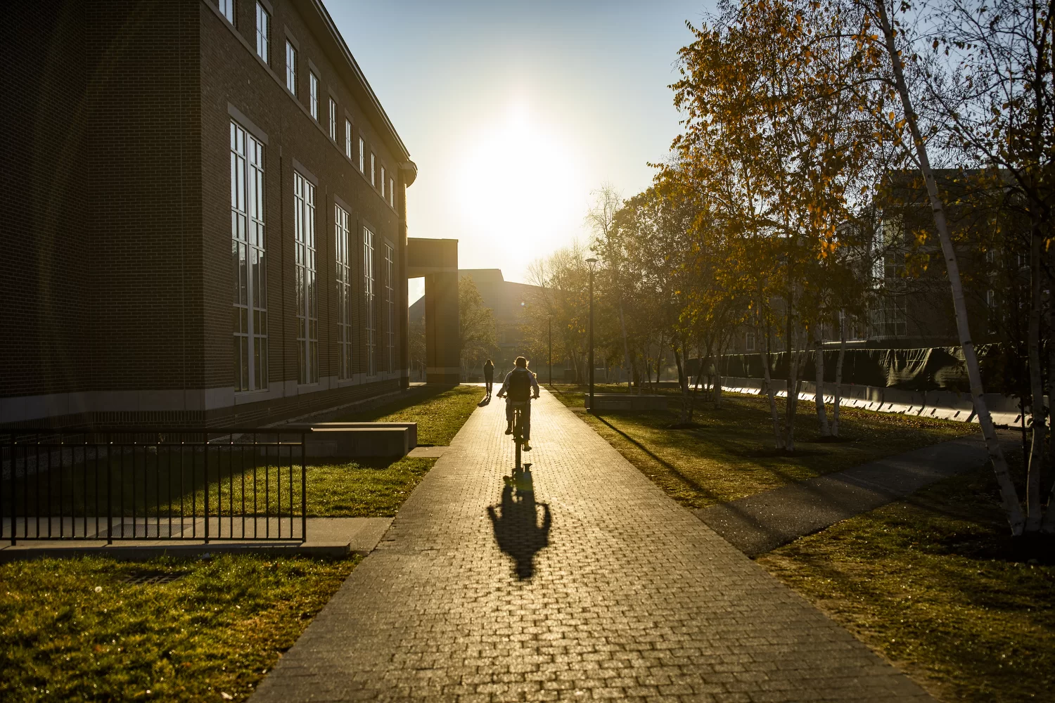 Phyllis Graber Jensen/Bates College