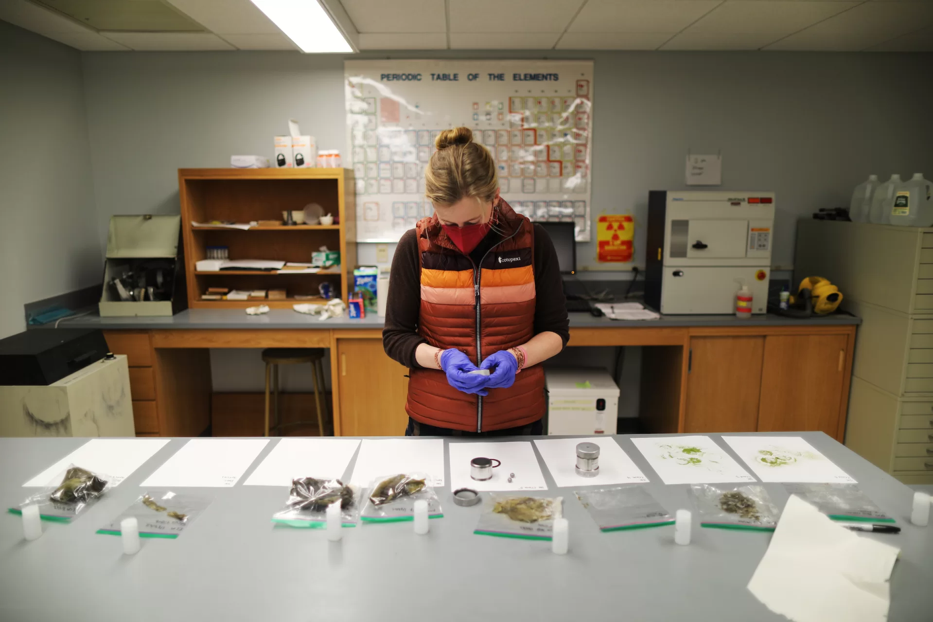 Essie Martin ’22 of Newscastle, Maine, prepares samples of dried kelp to be ground down to a fine dust before being weighed and then ran in the IRMS for isotope analysis. Shot on January 26, 202, in Carnegie building , Room 215.(Theophil Syslo | Bates College)