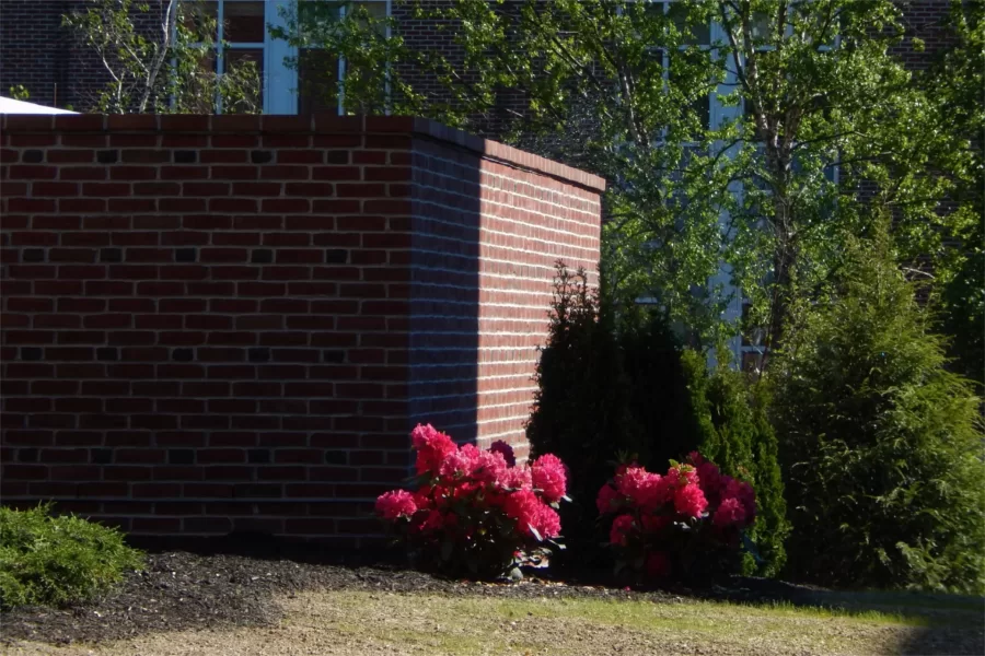 Local sitework firm Gendron & Gendron renewed the landscaping around Dana Hall. Shown are new shrubs, flowers, and grass around the brickwalled HVAC chiller, also new. (Doug Hubley/Bates College)