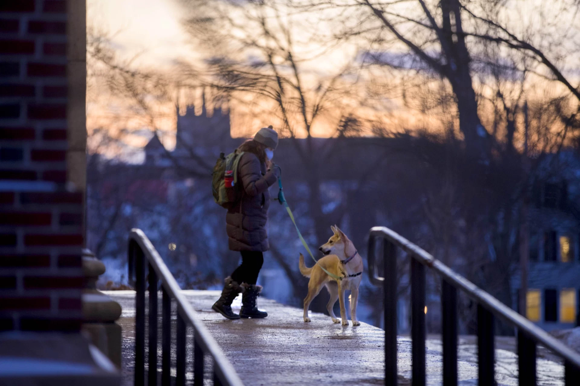 Campus at dusk on Monday, Jan. 10, 2022.

Dog walking on the Coram Library stage.