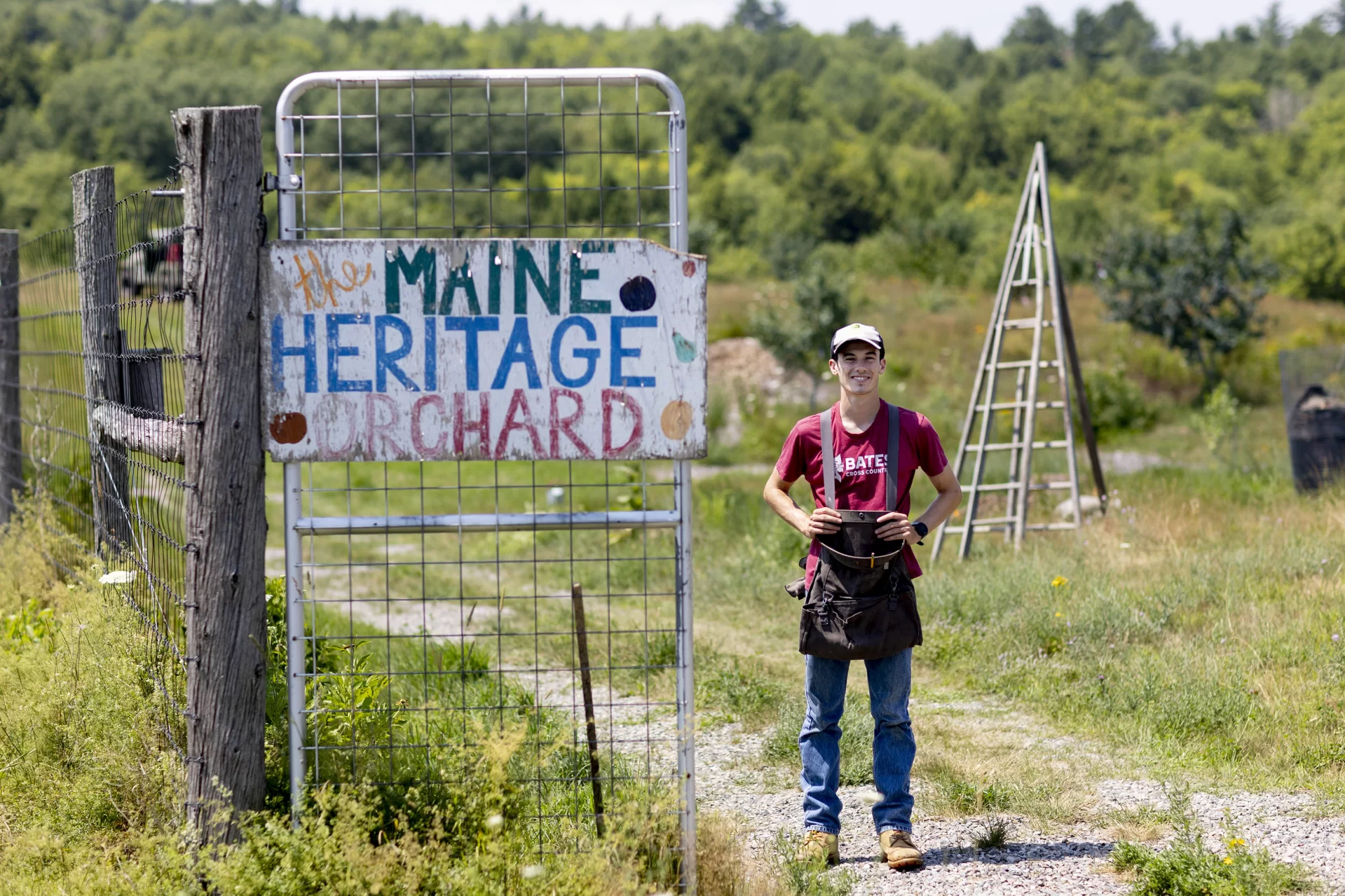 A “fruit-full” summer internship can look like…

Eli Boesch-Dining ’23 is an environmental studies major from Concord, N.H., and he’s working as a Purposeful Work summer intern at the Maine Organic Farmers and Gardeners Association in Unity, Maine.
Part of his @mofga job looks a little like this: thinning fruit in the apple trees, of which the orchard is home to over 340 varieties.

Under the watchful eye of Laura Sieger, MOFGA’s orchard coordinator, Boesch-Dining determines which unripe fruits to cut from the branches, which helps alleviate pest problems like apple maggots and apple tree borers, and helps the tree determine which fruits should get more auxin, a phytohormone for fruit development.

“This is only my second or third day thinning apples, so I'm by no means an expert,” says Boesch-Dining. “I think leaving one every eight inches or so is what we do.”