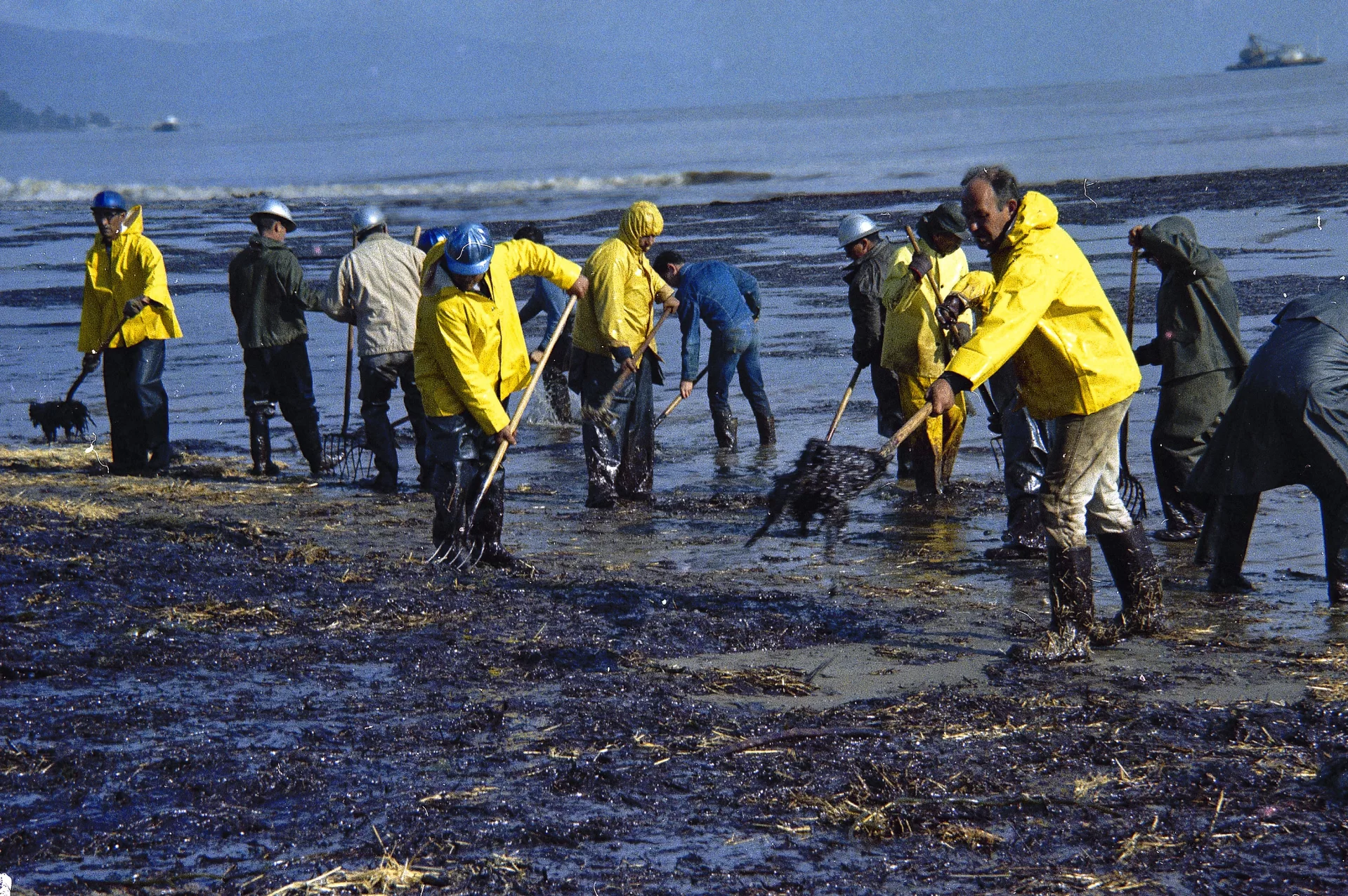 FILE - In this Feb. 6, 1969, file photo, state forestry conservation crews made up of prison convicts clean up oil-soaked straw on the beach in Santa Barbara, Calif.  From 1969 to 1980, Congress passed a wide range of environmental bills tackling air and water pollution, garbage, protections for fisheries and marine mammals, and endangered species; in 1990 Congress tackled acid rain by overhauling the Clean Air Act. Now in the week of April 20, 2009, lawmakers begin hearings on an energy and global warming bill that could revolutionize how the country produces and uses energy, and could for the first time reduce the pollution responsible for heating up the planet.  (AP Photo/Wally Fong, FILE)