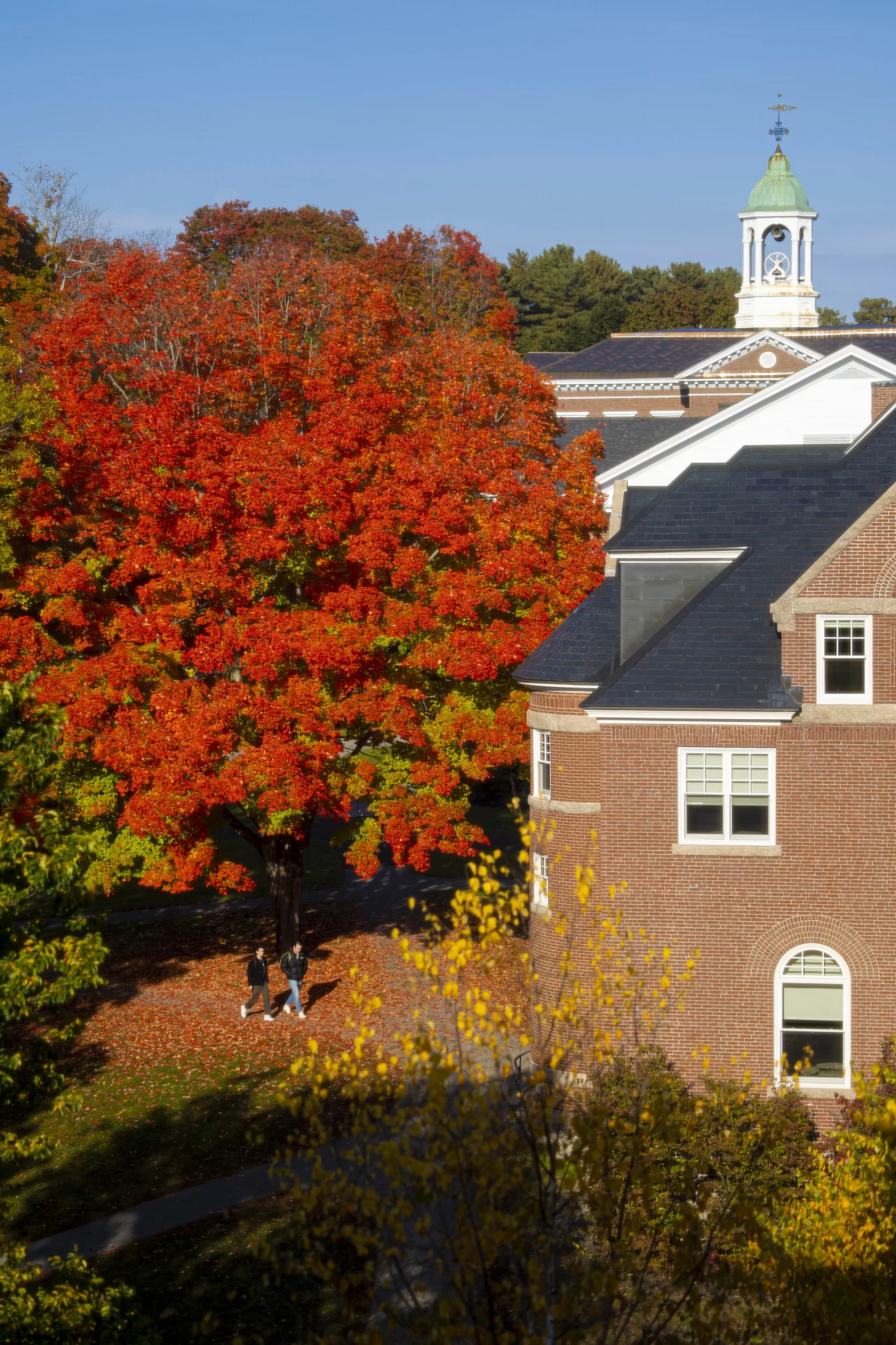 Foliage on the historic Quad on October 12, 2022.