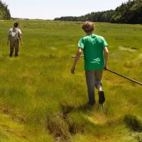 For her senior thesis, Margaret Pickoff '13 (shown here with geology major David Harning '13 at salt marsh at Bates-Morse Mountain Conservation Area) is studying carbon storage in Maine salt marshes. Salt marshes are one of the most abused ecosystems on the planet; they have been and continue to be drained and converted into agricultural land, fish ponds, and coastal housing developments despite their ecological importance. My research is part of a greater project that is attempting to quantify the amount of "blue carbon", or carbon stored in marine vegetation, in salt marshes, which recent literature suggests is quite substantial. I'm hoping that my research will help to emphasize this critical function of marsh ecosystems, as global climate change and sea level rise continue to threaten the health of the planet. A major part of my field work is taking cores of marsh peat from the Sprague River Marsh at BMMCA, as well as several other Maine salt marshes. I take samples from many of the cores to be analyzed in the Environmental Geochemistry Lab at Bates. A variety of tests are run on the peat samples to determine what percentage of organic carbon is contained in the peat, and this value can be extrapolated upon to determine how much carbon the entire marsh is storing. It's hard to write briefly about my thesis project (I think that's a good sign..). Thanks again for coming out to take photos, and I apologize for not getting this to you sooner!