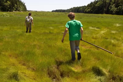 For her senior thesis, Margaret Pickoff '13 (shown here with geology major David Harning '13 at salt marsh at Bates-Morse Mountain Conservation Area) is studying carbon storage in Maine salt marshes. Salt marshes are one of the most abused ecosystems on the planet; they have been and continue to be drained and converted into agricultural land, fish ponds, and coastal housing developments despite their ecological importance. My research is part of a greater project that is attempting to quantify the amount of "blue carbon", or carbon stored in marine vegetation, in salt marshes, which recent literature suggests is quite substantial. I'm hoping that my research will help to emphasize this critical function of marsh ecosystems, as global climate change and sea level rise continue to threaten the health of the planet. A major part of my field work is taking cores of marsh peat from the Sprague River Marsh at BMMCA, as well as several other Maine salt marshes. I take samples from many of the cores to be analyzed in the Environmental Geochemistry Lab at Bates. A variety of tests are run on the peat samples to determine what percentage of organic carbon is contained in the peat, and this value can be extrapolated upon to determine how much carbon the entire marsh is storing. It's hard to write briefly about my thesis project (I think that's a good sign..). Thanks again for coming out to take photos, and I apologize for not getting this to you sooner!