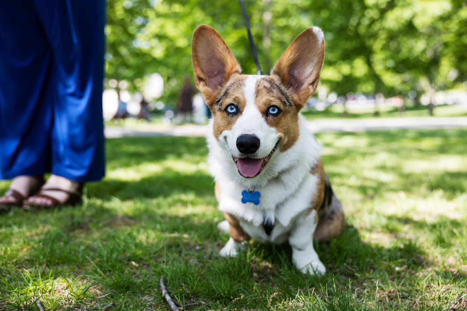 Moments from this years Commencement on May 28, 2023.

(Theophil Syslo | Bates College)