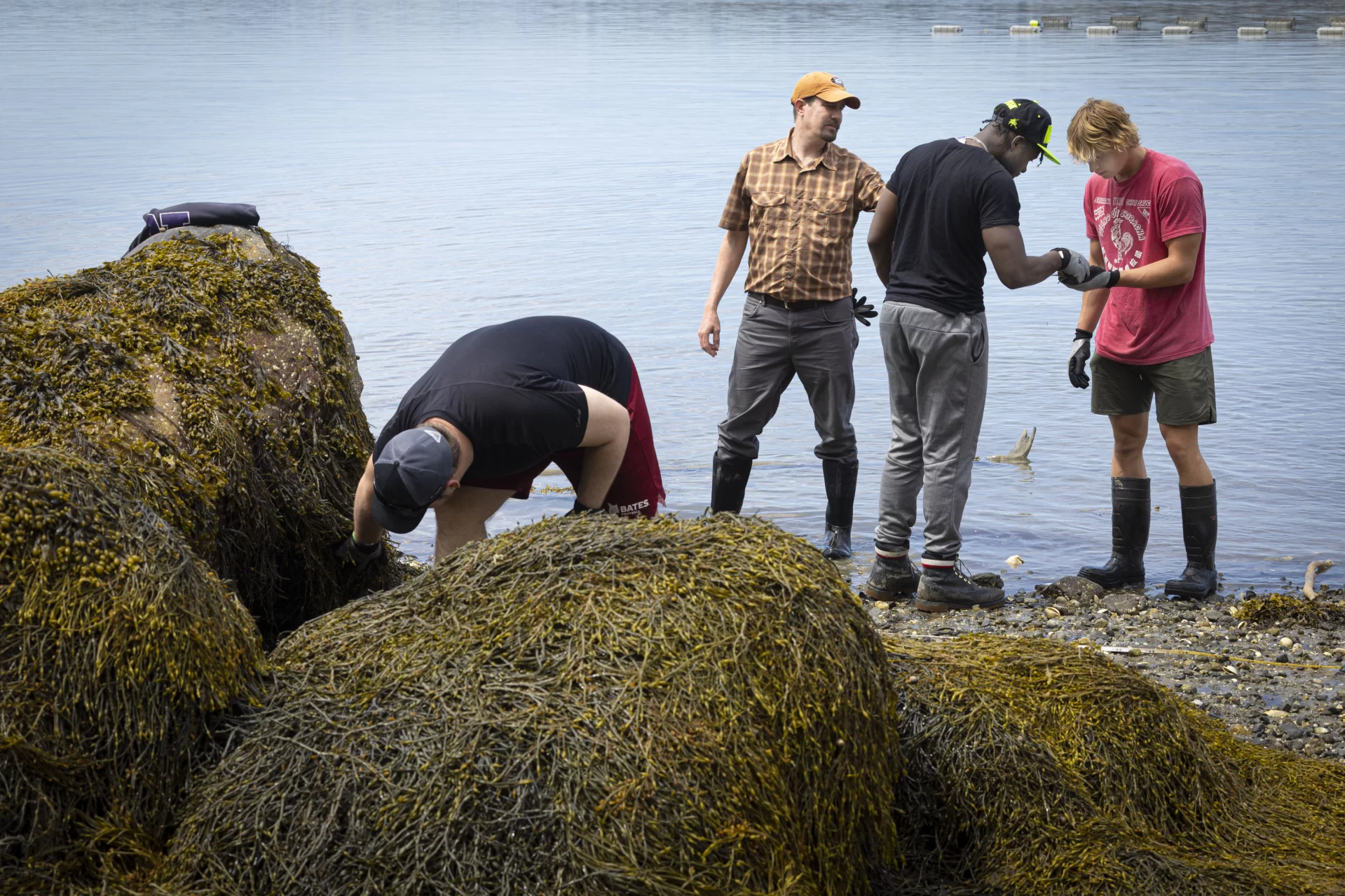 Lecturer in Biology Jesse Minor ’00 takes students in his Short Term on invasive green crabs to Cousins Island in Yarmouth for inventory monitoring and site assessment field trip.

Jessie Batchelder from Manomet joined them.