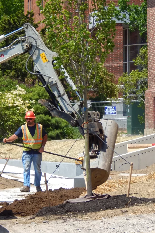 Landscaping in progress at Chase Hall on May 31. (Doug Hubley/Bates College)