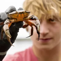 Lecturer in Biology Jesse Minor ’00 takes students in his Short Term on invasive green crabs to Cousins Island in Yarmouth for inventory monitoring and site assessment field trip. Jessie Batchelder from Manomet joined them.