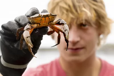 Lecturer in Biology Jesse Minor ’00 takes students in his Short Term on invasive green crabs to Cousins Island in Yarmouth for inventory monitoring and site assessment field trip. Jessie Batchelder from Manomet joined them.