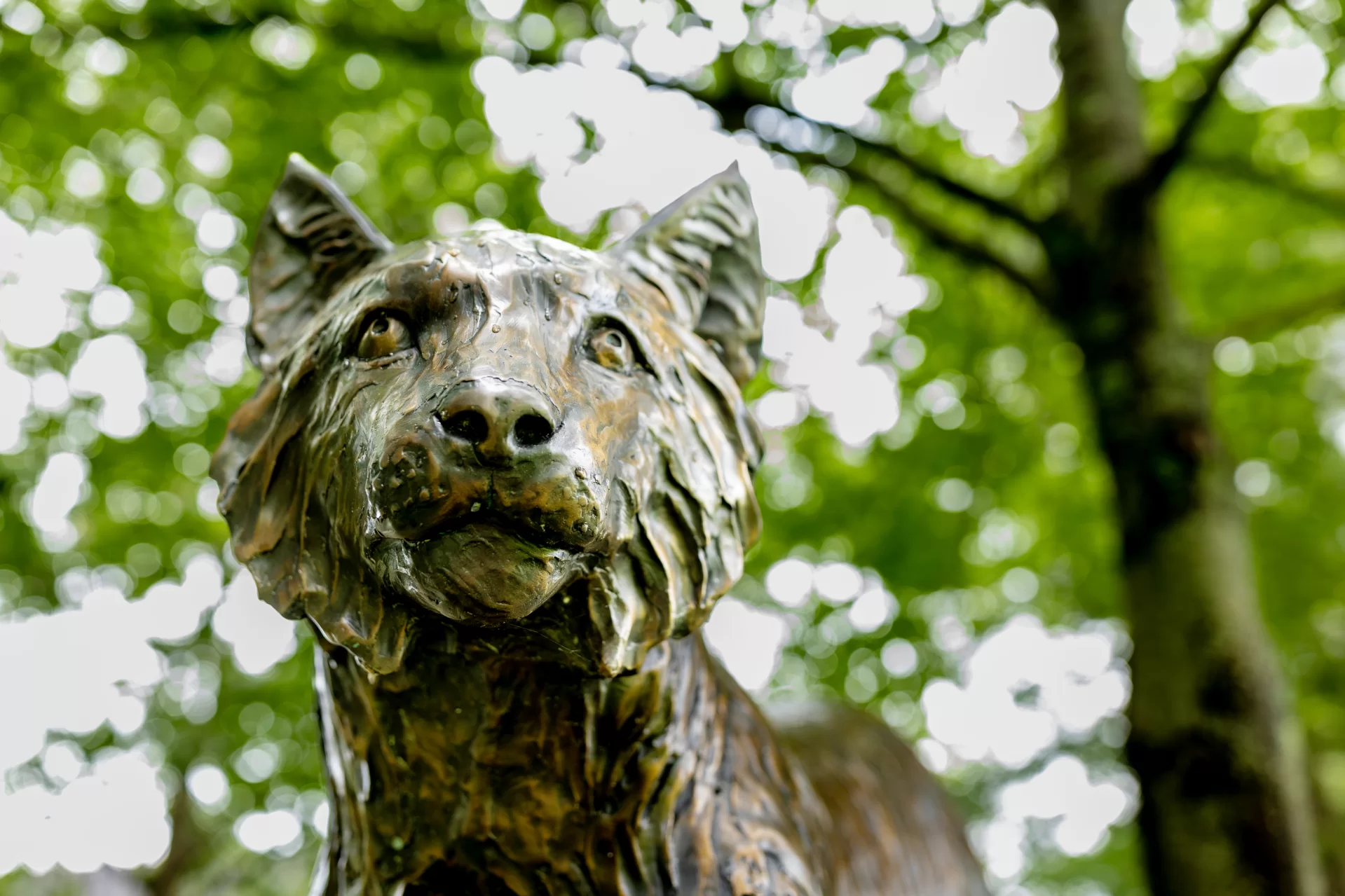 Scenes from the Bates Campus on July 27, 2023.

A cloesup of the Bates Bobcat sculpture on the walk from Central Avenue to Merrill Gymnasium.

Designed by Maine artist Forest Hart, it’s atop a boulder near Leahey Field.