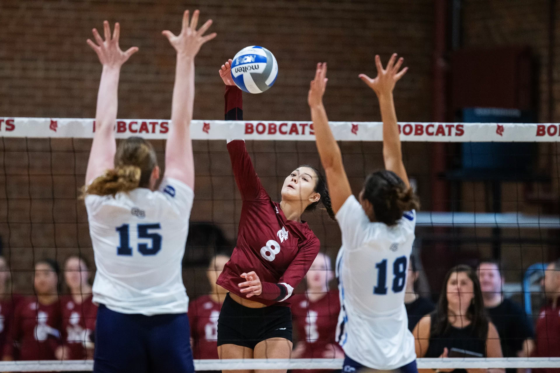 Bates hosts Connecticut College on September 16, 2023.
(Theophil Syslo | Bates College)