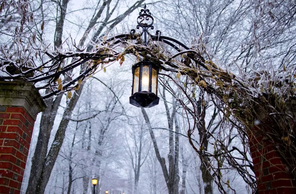 What gives? Ideas from the Bates Alumni Holiday Gift Guide | News ...