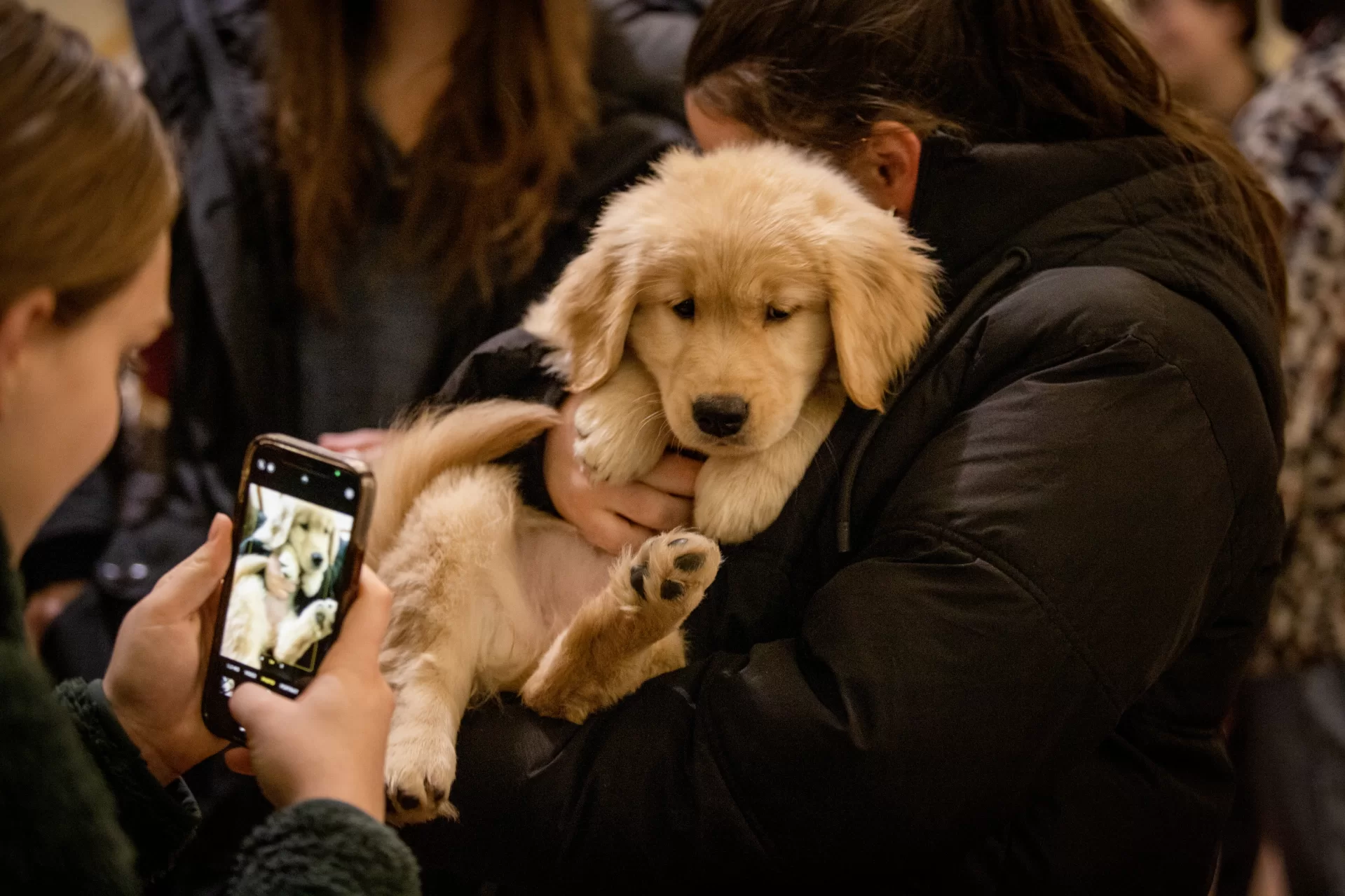 Several dogs visited Memorial Commons on Dec. 12 for students to spend some "chill" time with.