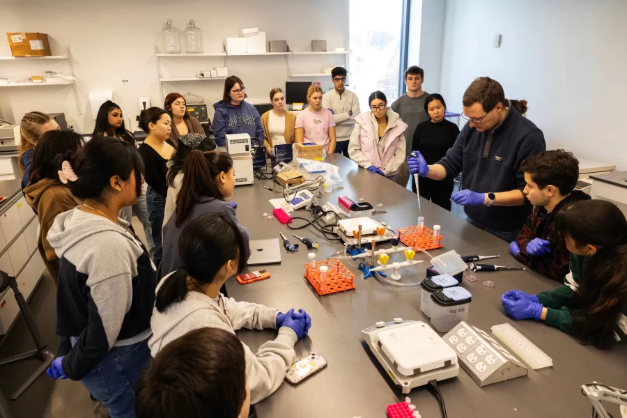 Moments from Lab-Based Biological Inquiry Cellular Neuroscience taught by Martin Kruse, associate professor of biology and neuroscience, in Bonney Science Center Room 370 on January 25, 2024. (Theophil Syslo | Bates College)