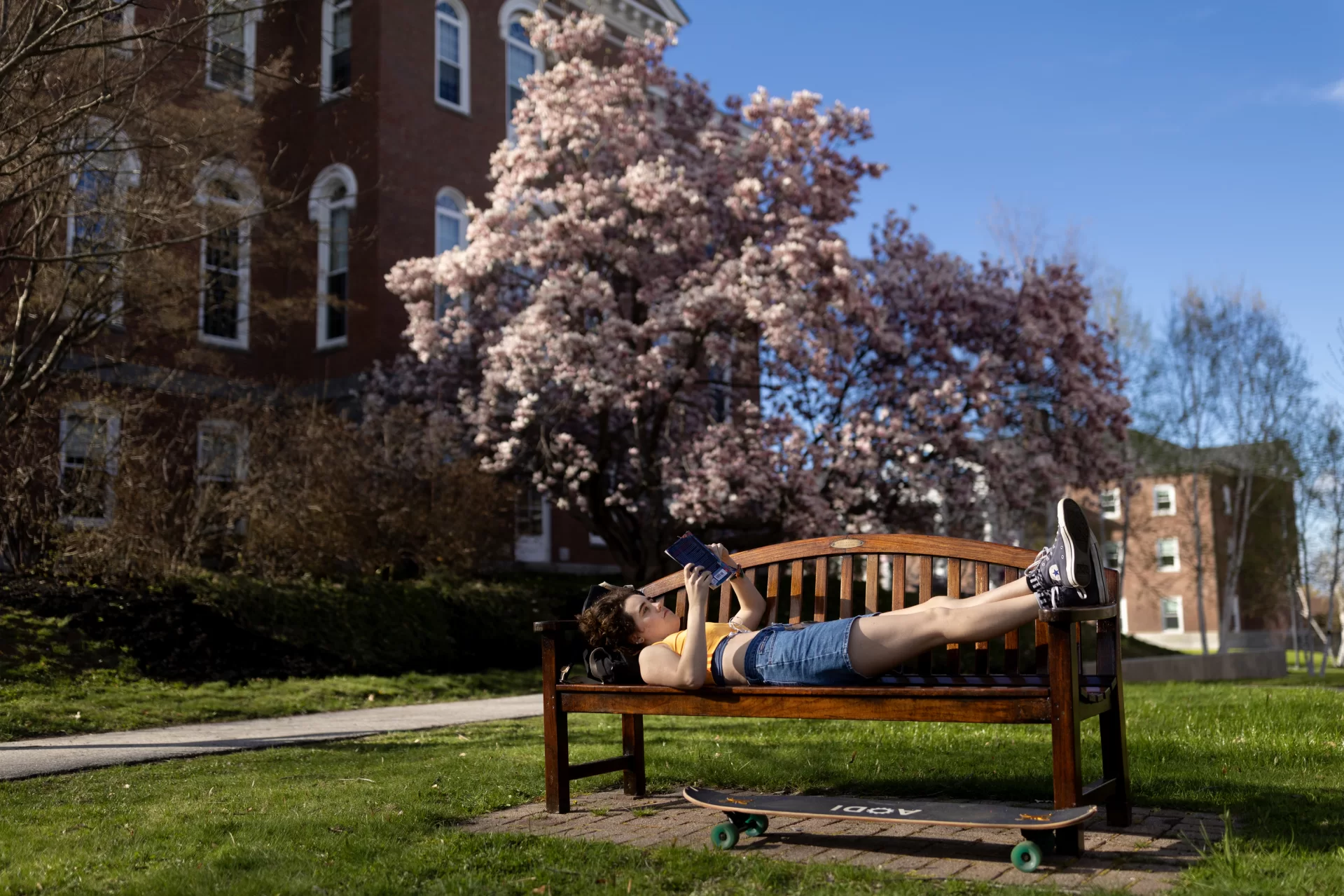 The magnolia tree signals the true arrival of spring on the Bates campus. After a rainy Monday morning on May 6, the sun emerged. We visited in the late afternoon and found two students reading in proximity. Kendall Jones ‘25 of Guilford, N.H., a double major in biochemistry and theater, sought the sun after a satisfying day in her practitioner-taught Short Term course, “Critical Museum Interpretation and Storytelling,” taught by researcher, curator, and educator Ashleigh Coren ’07. After class and an office-hour chat with Coren, Jones made a beeline for the outdoors. “This is the best bench, if you ask me,” Jones said. “You get a full view of the Quad, with the sun shining. And if you sit on this side [reclining, with her head toward Hathorn] the sun lights your book, but it’s not in your eyes. And you’re by the tree.” The magnolia tree, she means. On the other side of this magnificent tree, framed by adjacent azaleas, we photographed Hannah Kothari ’26, a politics major from Houston, reading field notes for her landscape ethnography Short Term course, taught by Assistant Professor of Environmental Studies Jamie Haverkamp, in preparation for a class visit to Nezinscot Farm in Turner, Maine, tomorrow..