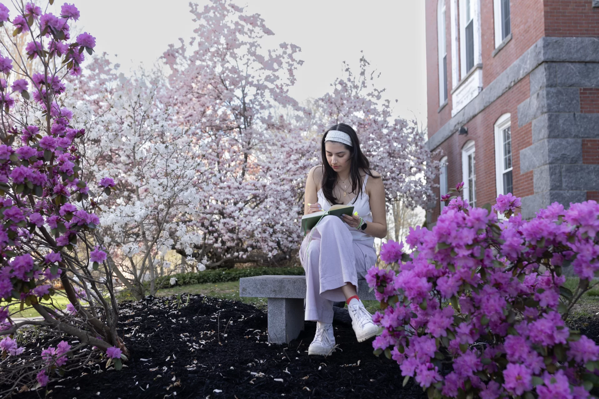 The magnolia tree signals the true arrival of spring on the Bates campus.

After a rainy Monday morning on May 6, the sun emerged. We visited in the late afternoon and found two students reading in proximity.

Kendall Jones ‘25 of Guilford, N.H., a double major in biochemistry and theater, sought the sun after a satisfying day in her practitioner-taught Short Term course, “Critical Museum Interpretation and Storytelling,” taught by researcher, curator, and educator Ashleigh Coren ’07. After class and an office-hour chat with Coren, Jones made a beeline for the outdoors.

“This is the best bench, if you ask me,” Jones said. “You get a full view of the Quad, with the sun shining. And if you sit on this side [reclining, with her head toward Hathorn] the sun lights your book, but it’s not in your eyes. And you’re by the tree.” The magnolia tree, she means.

On the other side of this magnificent tree, framed by adjacent azaleas, we photographed Hannah Kothari ’26, a politics major from Houston, reading field notes for her landscape ethnography Short Term course, taught by Assistant Professor of Environmental Studies Jamie Haverkamp, in preparation for a class visit to Nezinscot Farm in Turner, Maine, tomorrow..