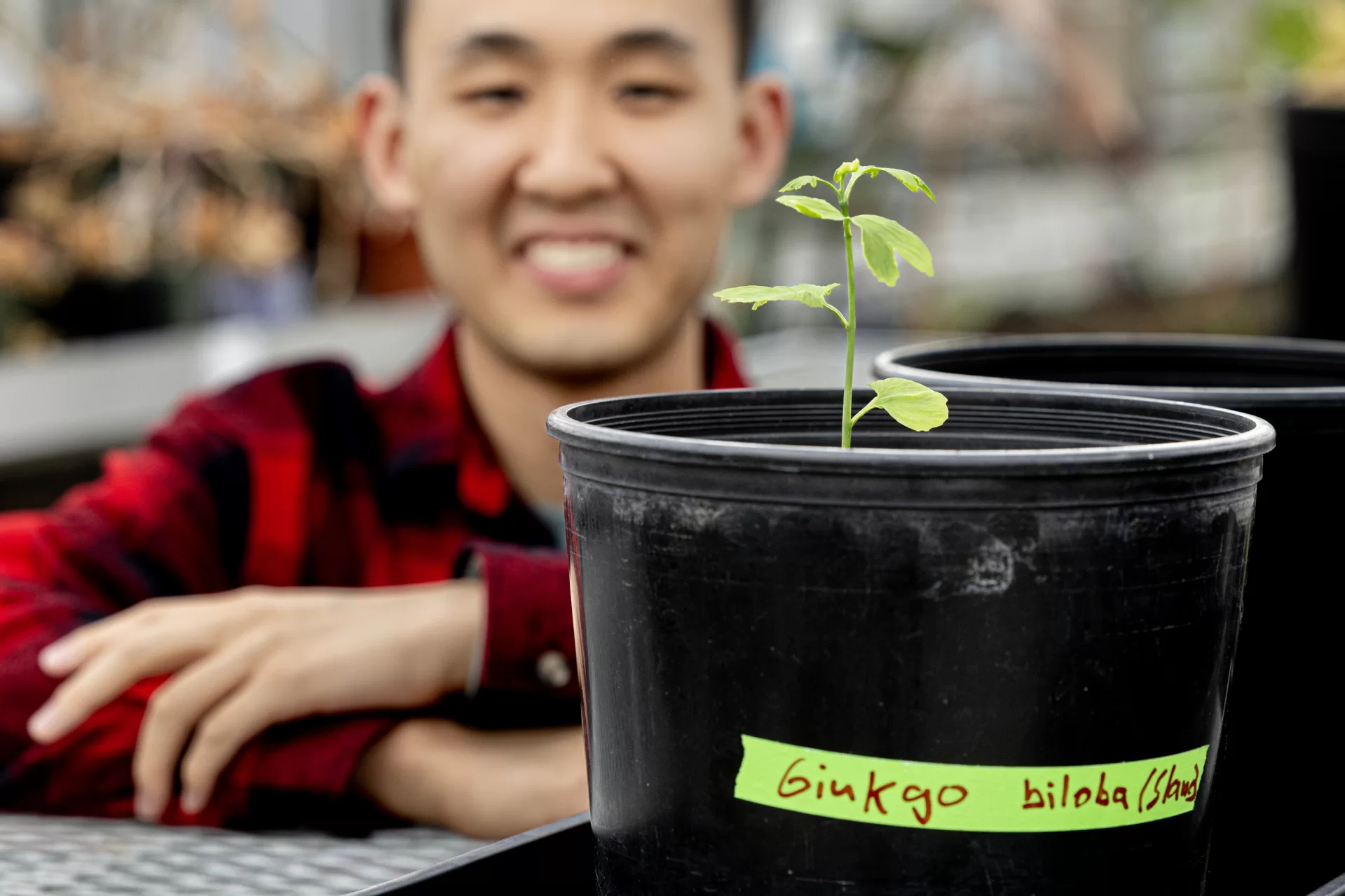 Bates College has planted seeds from a Hibaku Jumoku (A-bomb survivor tree), marking a meaningful step in a project initiated by Alan Wang ’24. The seeds, gifted from Hiroshima in September 2024, underwent a winter-mimicking chilling process before being planted in the Bates greenhouse. The effort is a collaboration between Wang, Associate Multifaith Chaplain Raymond Clothier, Japanese faculty member Hanna McGaughey, and Biology faculty member Daniel Slane. The project connects Bates to a global peace initiative through the legacy of Hiroshima’s resilient trees.
From left to right: Lecturer in Japanese Keiko Konoeda, Alan Wang '24, Assistant Professor of Japanese Language and Asian Studies Hanna McGaughey, and Visiting Assistant Professor of Biology Daniel Slane. Posing with seedlings in the Carnegie Science Greenhouse.
Slane with daughter Luca.