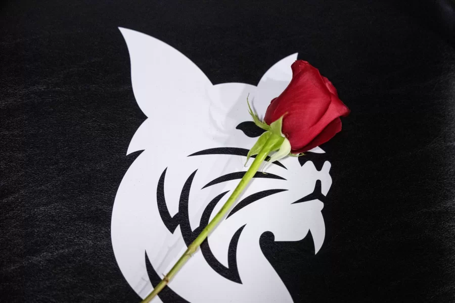 Bates Women’s Basketball hosts Tufts on February 16, 2025. (Theophil Syslo | Bates College)