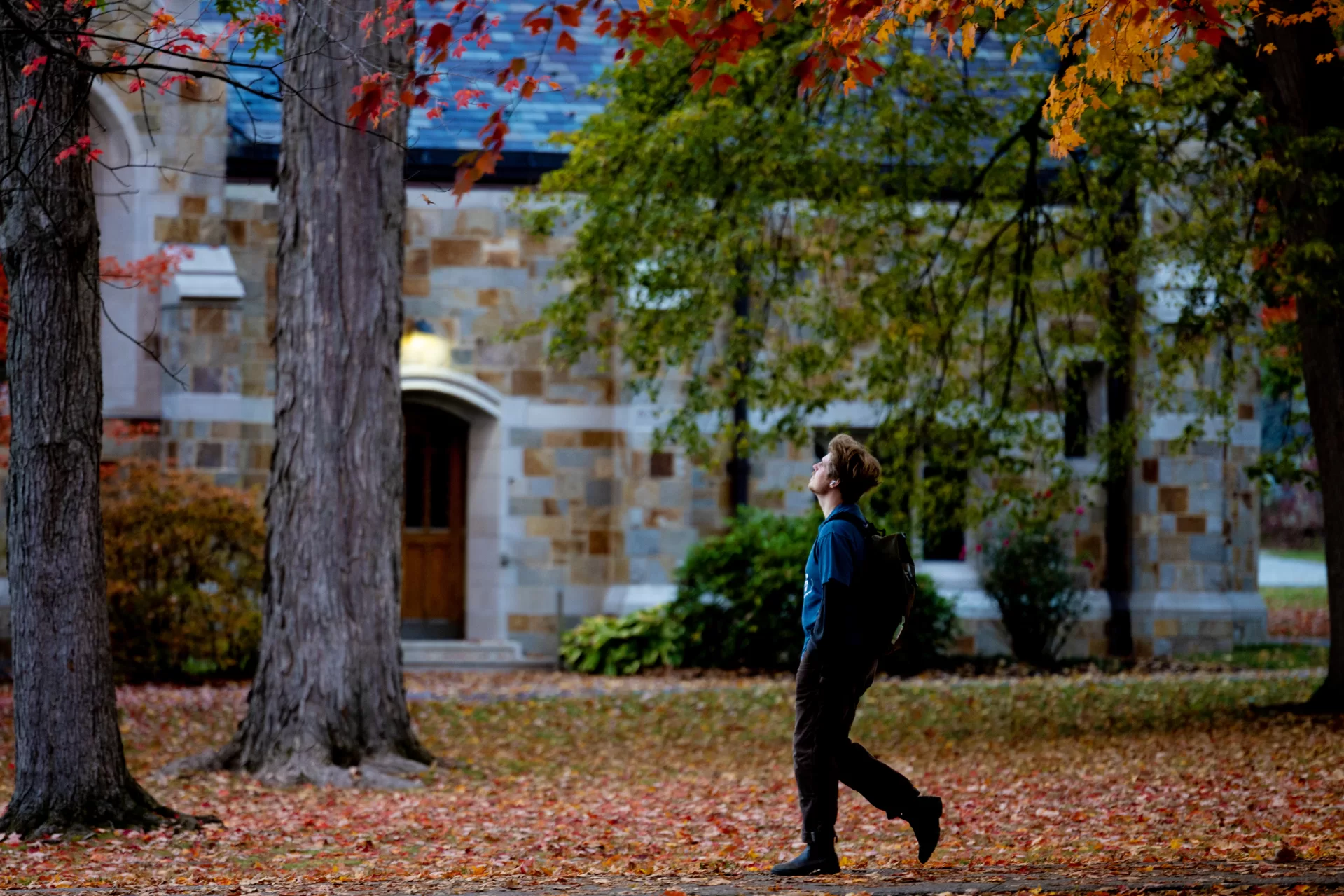 Foliage on the Historic Quad on Oct. 21, 2025.