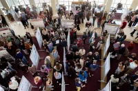 Explore the breadth of student research at Mount David Summit