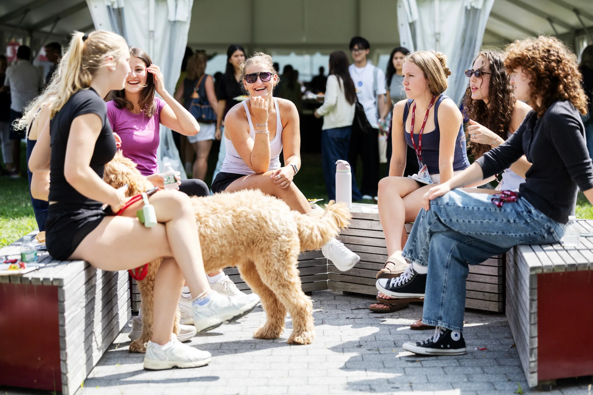 Moments from move-in day at Bates College on August 27, 2026. (Theophil Syslo | Bates College)