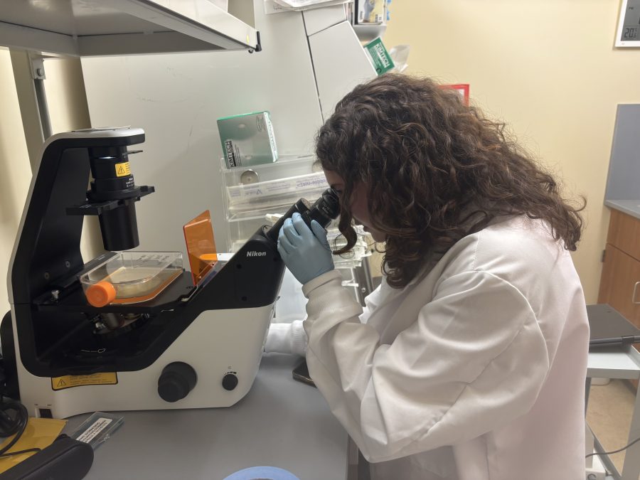 student intern at microscope
