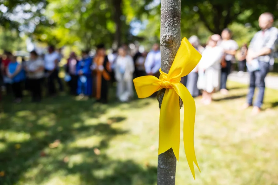 tree with yellow ribbon