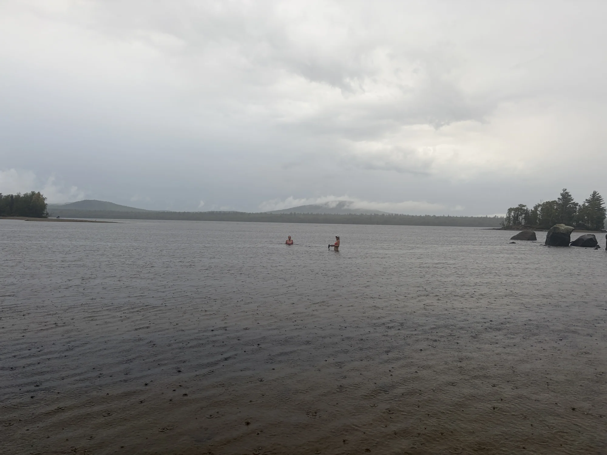 students swimming