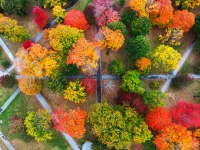 Fall Color seen on Bates College campus on October 14, 2026.(Theophil Syslo | Bates College)