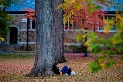 Foliage on the Historic Quad on Oct. 21, 2025.