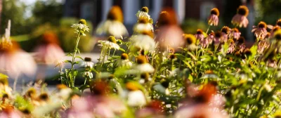 Moments from around Bates College campus captured on August 12, 2026. (Theophil Syslo | Bates College)
