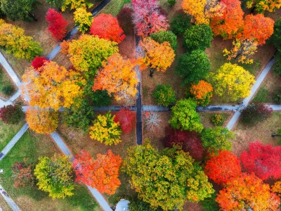 Fall Color seen on Bates College campus on October 14, 2026.(Theophil Syslo | Bates College)
