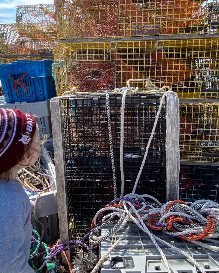 Lobster Traps