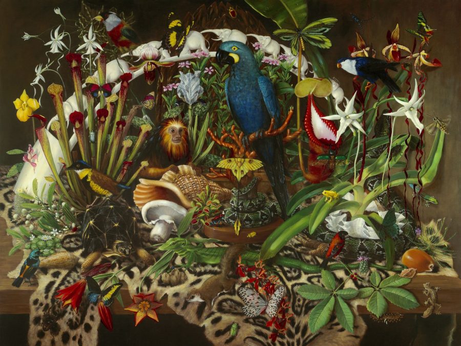 Isabella Kirkland, “Trade,” 2001, Digital Print, 32 ¾ x 41 ¼ in., Bates College Museum of Art purchase with the Dr. Robert A. and Minna F. Johnson ’36 Art Acquisition Fund, and the Abraham and Bella Margolis Art Fund, 2013.2.6
