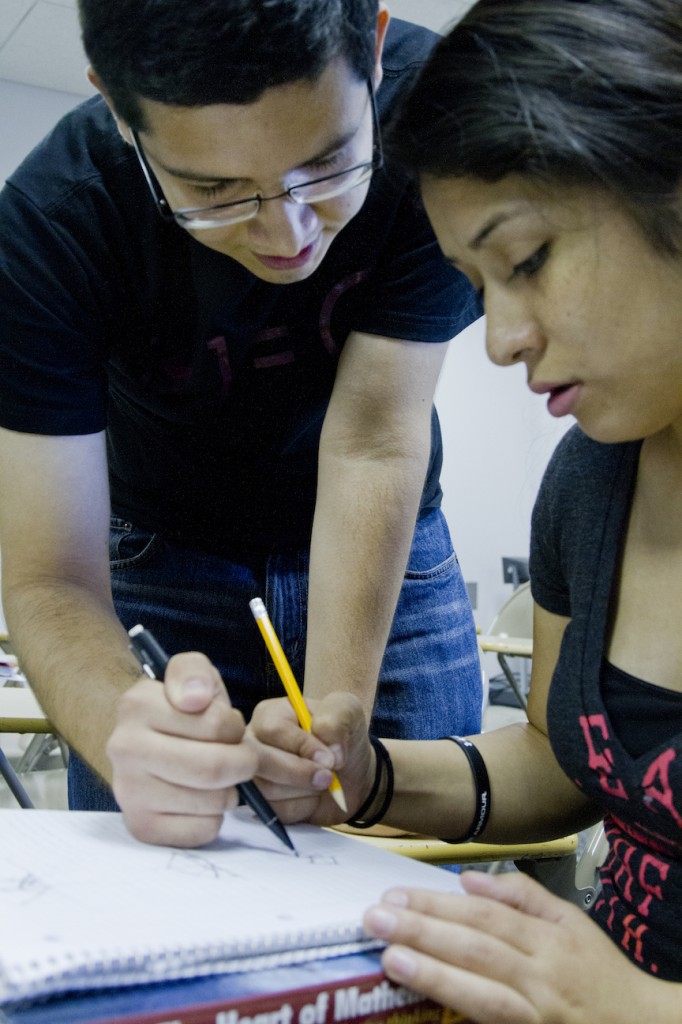 Bates Science Fellows working on a project