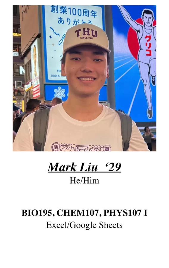 mark
