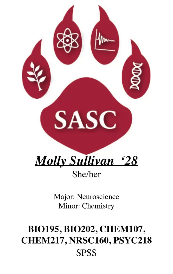molly