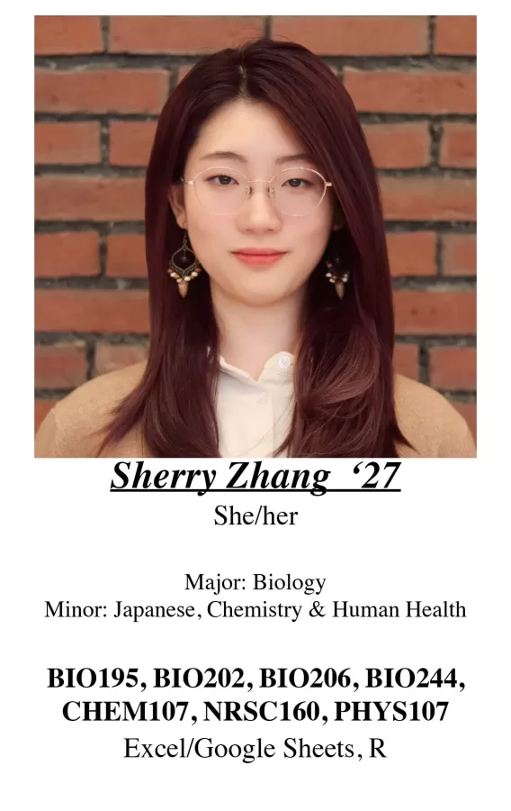 sherry