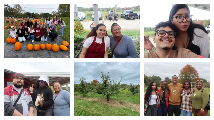 apple picking collage