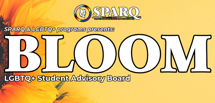 Bloom advisory board image, sunflower in background
