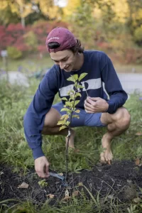 Anna Maheu '21 of New York City and Elliot Wilson '21 of Lakeville, Conn., inspect a Macoun apple tree that he grafted at the Plot last spring, when Bates EcoReps and volunteers carved it out of an acre and a half of unused, overgrown college land.
.
The Bates Eco-Reps hosted a Garden Party at the Plot on Tuesday, Oct. from 5-7 pm, with appetizers and live music. Swipe left for a few more scenes from the gathering.
.
Dining Services and the Bates EcoReps @sustainablebates established the fifth-acre garden, formally called the Plot, this year as an educational program. Garden interns get hands-on experience with commercial and sustainable food production practices — and the campus gets a working farm, albeit a tiny one, that one day will also serve as classroom and lab.