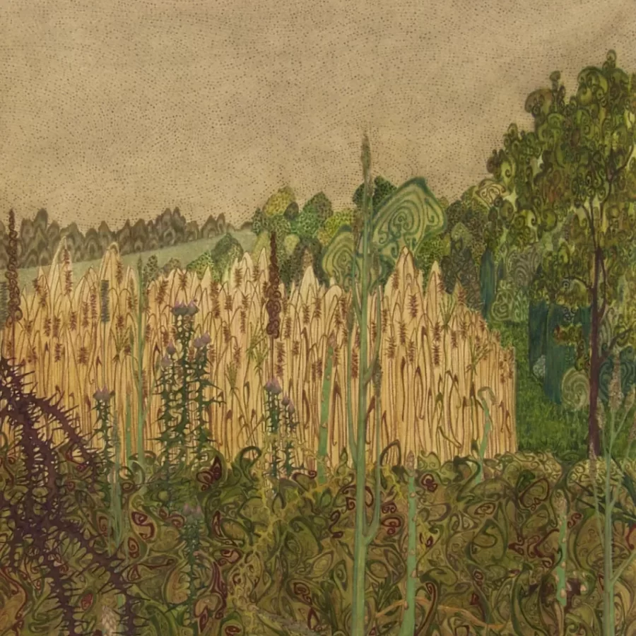 Crystal Nicholas, Last Asparagus, 1997, Pencil, colored pencil, gouache, and watercolor, 19 7/8 x 10 in, Bates College Museum of Art purchase, 1998.5.1