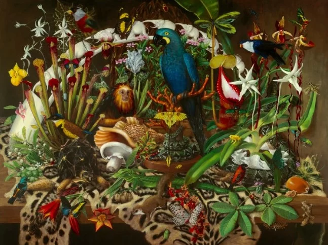 Isabella Kirkland, Trade, 2008, digital print, 32 3/4 x 41 1/4 in, Bates College Museum of Art purchase with the Robert A. and Minna F. Johnson ’36 Art Acquisition Fund, and the Abraham and Bella Margolis Art Fund, 2013.2.6