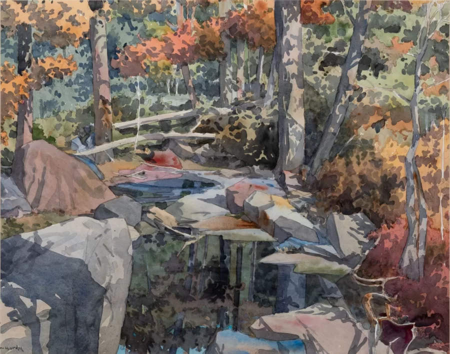 DeWitt Hardy, Forest and Pool, 2002, watercolor on paper, 28 3/8 x 33 1/2 in, Bates College Museum of Art, gift of the Carl Straub Estate, 2020.1.20