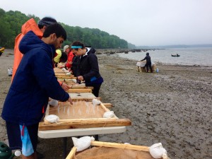 Tying eelgrass at Hadley Point for the Disney Lab