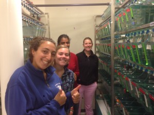 The 2014 Summer Group in the MDIBL fish room: Sophie, Katie, Roshni, and Larissa