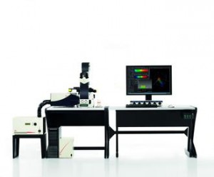 Leica SP8 Confocal microscope